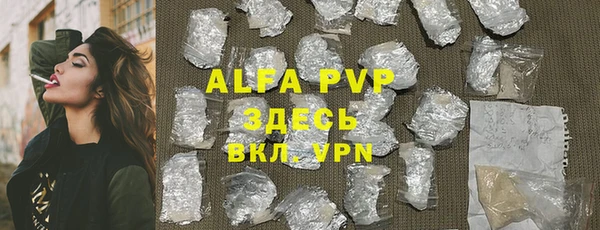 амф Верея