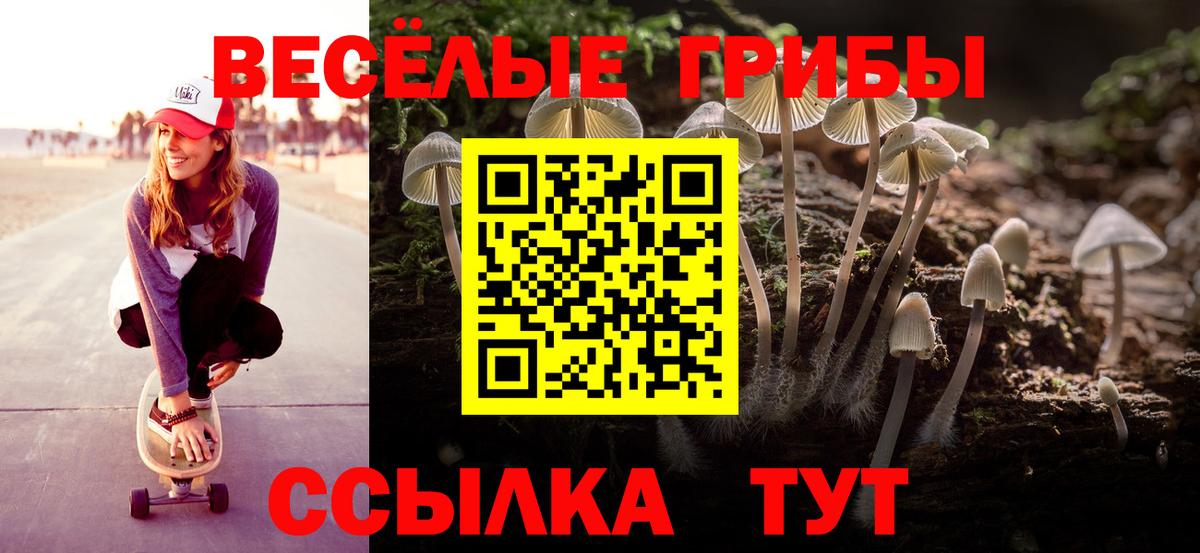Псилоцибиновые грибы GOLDEN TEACHER  Псилоцибиновые грибы GOLDEN TEACHER  где найти   Вичуга  Вход с VPN 