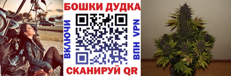 где найти наркотики даркнет телеграм Марихуана SATIVA & INDICA Вичуга